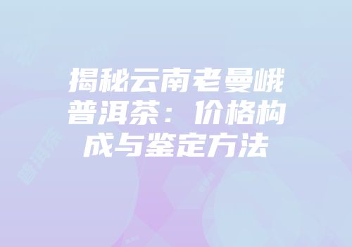 揭秘云南老曼峨普洱茶：价格构成与鉴定方法