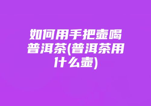 如何用手把壶喝普洱茶(普洱茶用什么壶)