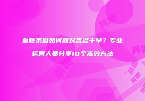 夏秋茶园如何应对高温干旱？专业运营人员分享10个高效方法