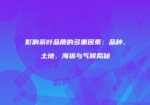 影响茶叶品质的多重因素：品种、土地、海拔与气候揭秘