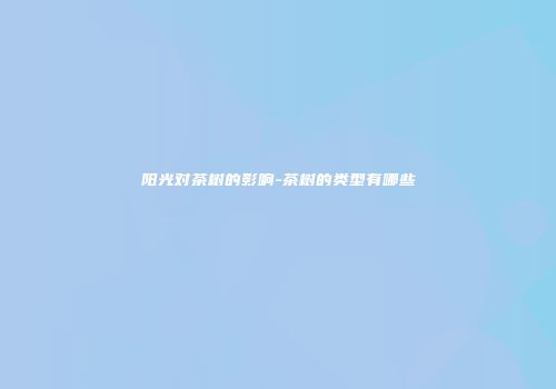 阳光对茶树的影响-茶树的类型有哪些