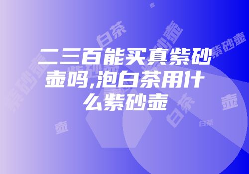 二三百能买真紫砂壶吗,泡白茶用什么紫砂壶