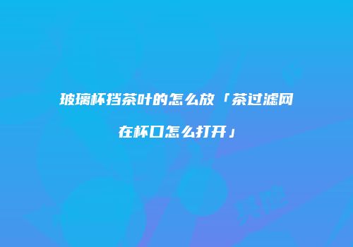 玻璃杯挡茶叶的怎么放「茶过滤网在杯口怎么打开」