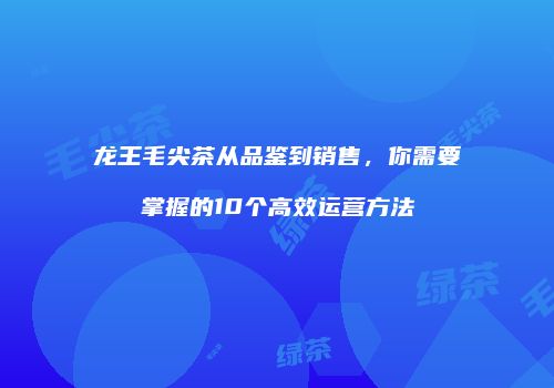 龙王毛尖茶从品鉴到销售，你需要掌握的10个高效运营方法