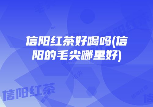 信阳红茶好喝吗(信阳的毛尖哪里好)