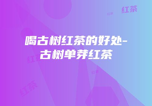 喝古树红茶的好处-古树单芽红茶