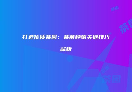 打造优质茶园：茶苗种植关键技巧解析