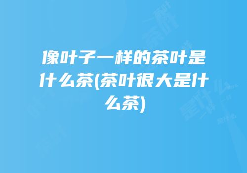 像叶子一样的茶叶是什么茶(茶叶很大是什么茶)