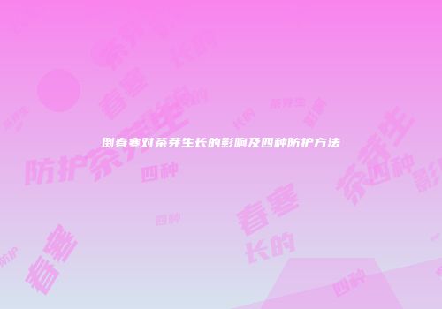 倒春寒对茶芽生长的影响及四种防护方法