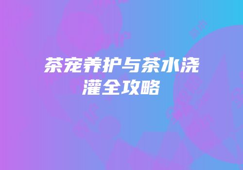 茶宠养护与茶水浇灌全攻略