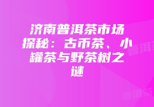 济南普洱茶市场探秘：古币茶、小罐茶与野茶树之谜