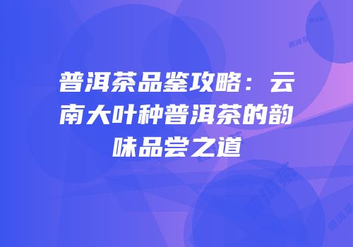 普洱茶品鉴攻略：云南大叶种普洱茶的韵味品尝之道