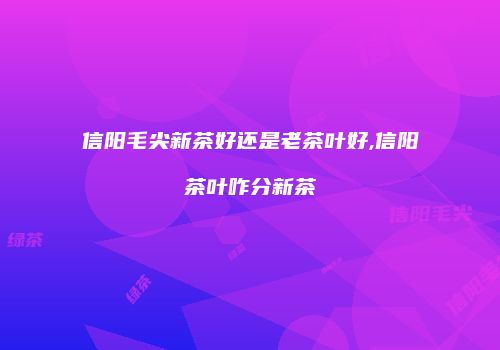 信阳毛尖新茶好还是老茶叶好,信阳茶叶咋分新茶