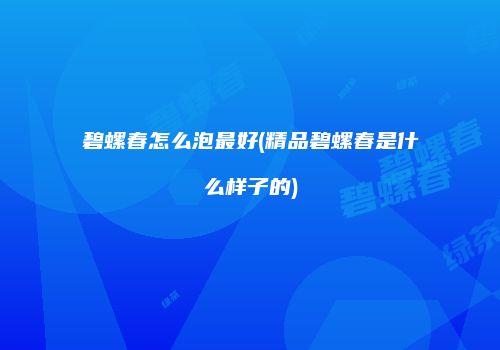 碧螺春怎么泡最好(精品碧螺春是什么样子的)