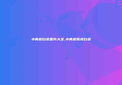小青柑白茶图片大全,小青柑陈皮白茶