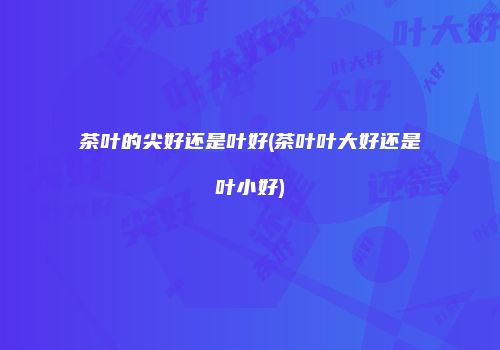 茶叶的尖好还是叶好(茶叶叶大好还是叶小好)