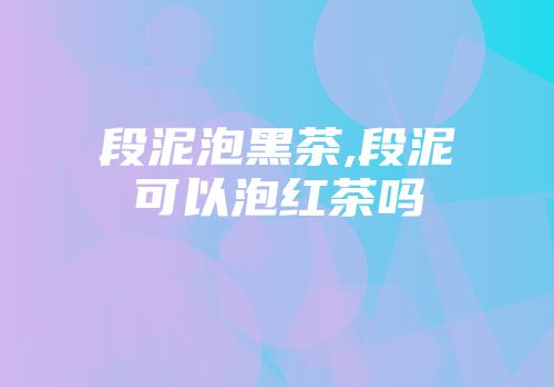 段泥泡黑茶,段泥可以泡红茶吗