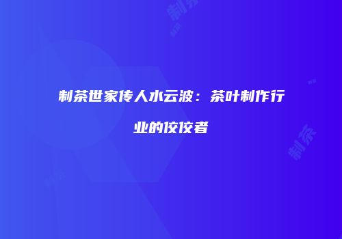 制茶世家传人水云波：茶叶制作行业的佼佼者
