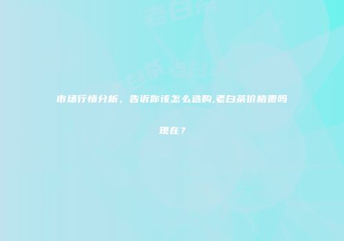 市场行情分析，告诉你该怎么选购,老白茶价格贵吗现在？