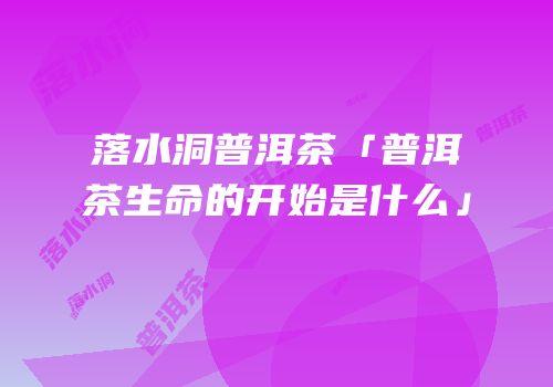 落水洞普洱茶「普洱茶生命的开始是什么」