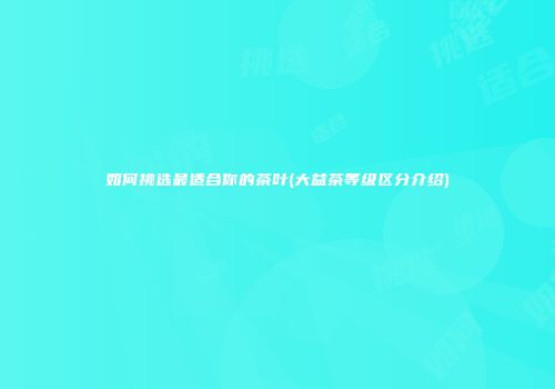 如何挑选最适合你的茶叶(大益茶等级区分介绍)