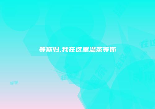 等你归,我在这里温茶等你