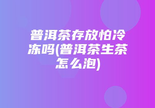 普洱茶存放怕冷冻吗(普洱茶生茶怎么泡)