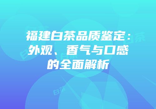 福建白茶品质鉴定：外观、香气与口感的全面解析