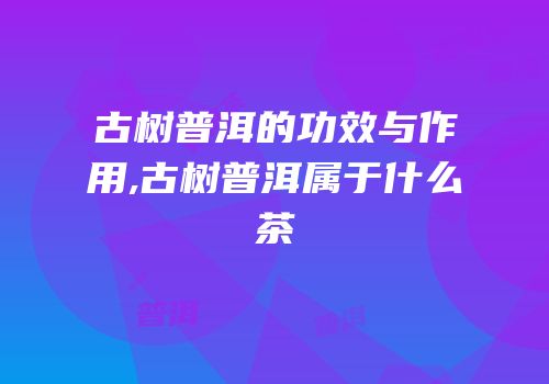 古树普洱的功效与作用,古树普洱属于什么茶