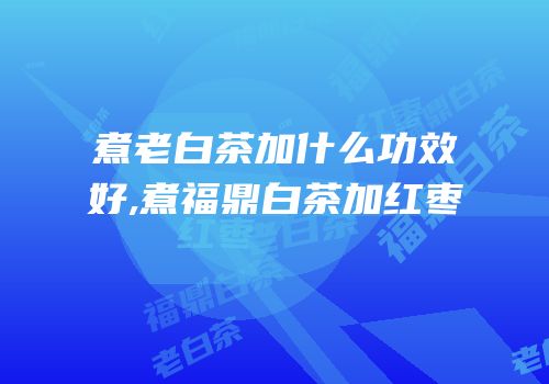 煮老白茶加什么功效好,煮福鼎白茶加红枣