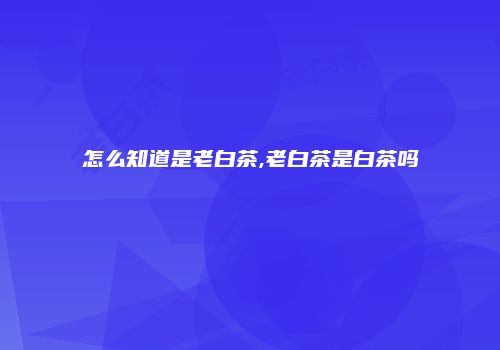 怎么知道是老白茶,老白茶是白茶吗