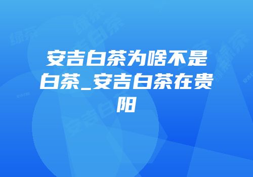 安吉白茶为啥不是白茶_安吉白茶在贵阳