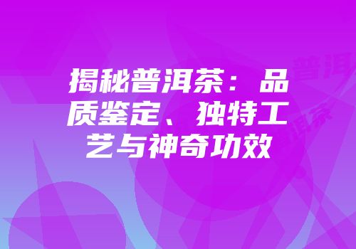 揭秘普洱茶：品质鉴定、独特工艺与神奇功效