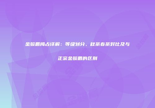 金骏眉梅占详解：等级划分、秋茶春茶对比及与正宗金骏眉的区别