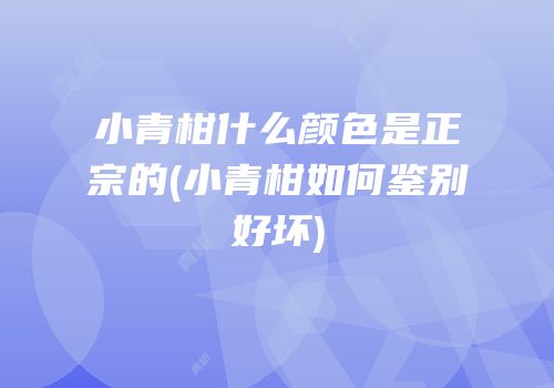 小青柑什么颜色是正宗的(小青柑如何鉴别好坏)