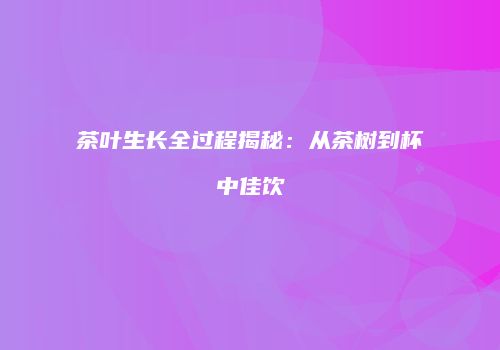 茶叶生长全过程揭秘：从茶树到杯中佳饮