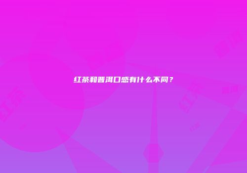 红茶和普洱口感有什么不同？