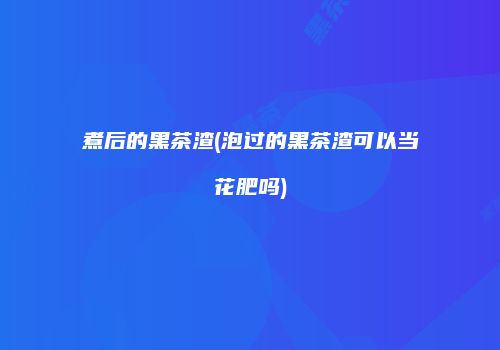 煮后的黑茶渣(泡过的黑茶渣可以当花肥吗)