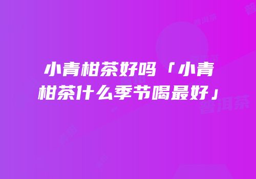 小青柑茶好吗「小青柑茶什么季节喝最好」
