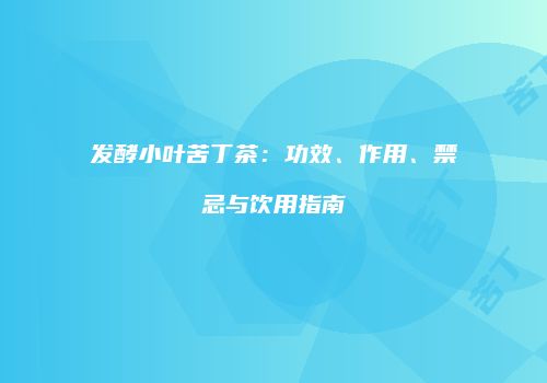 发酵小叶苦丁茶：功效、作用、禁忌与饮用指南