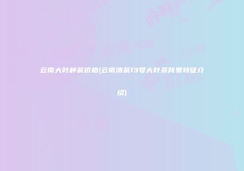 云南大叶种茶价格(云南滇茶13号大叶茶背景特征介绍)