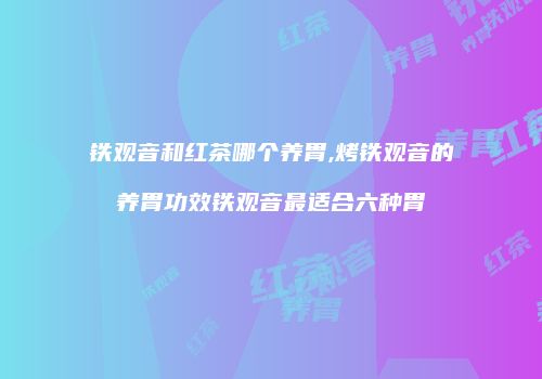 铁观音和红茶哪个养胃,烤铁观音的养胃功效铁观音最适合六种胃