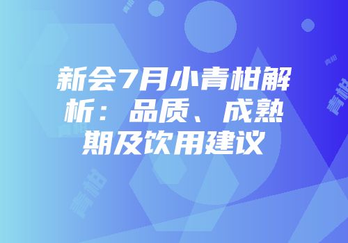 新会7月小青柑解析：品质、成熟期及饮用建议