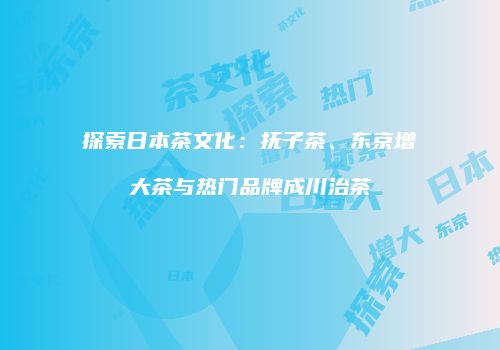 探索日本茶文化：抚子茶、东京增大茶与热门品牌成川治茶