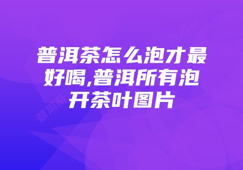 普洱茶怎么泡才最好喝,普洱所有泡开茶叶图片