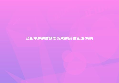 正山小种的香味怎么来的(花香正山小种)