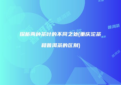探析两种茶叶的不同之处(重庆沱茶和普洱茶的区别)