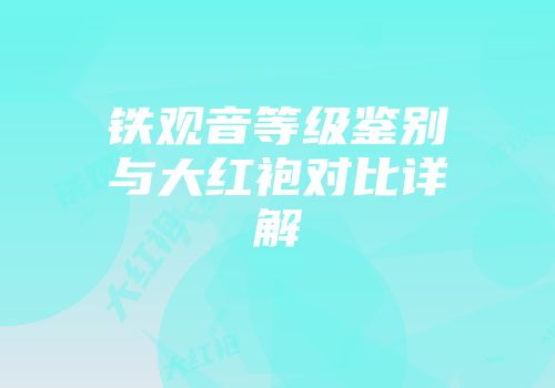 铁观音等级鉴别与大红袍对比详解