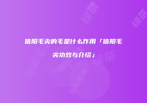 信阳毛尖的毛是什么作用「信阳毛尖功效与介绍」