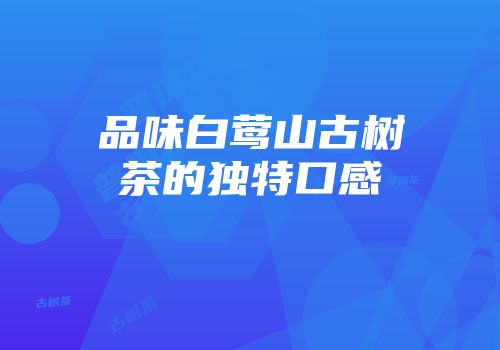 品味白莺山古树茶的独特口感